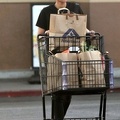naya-rivera-out-for-grocery-shopping-in-los-angeles-01-17-2018-11